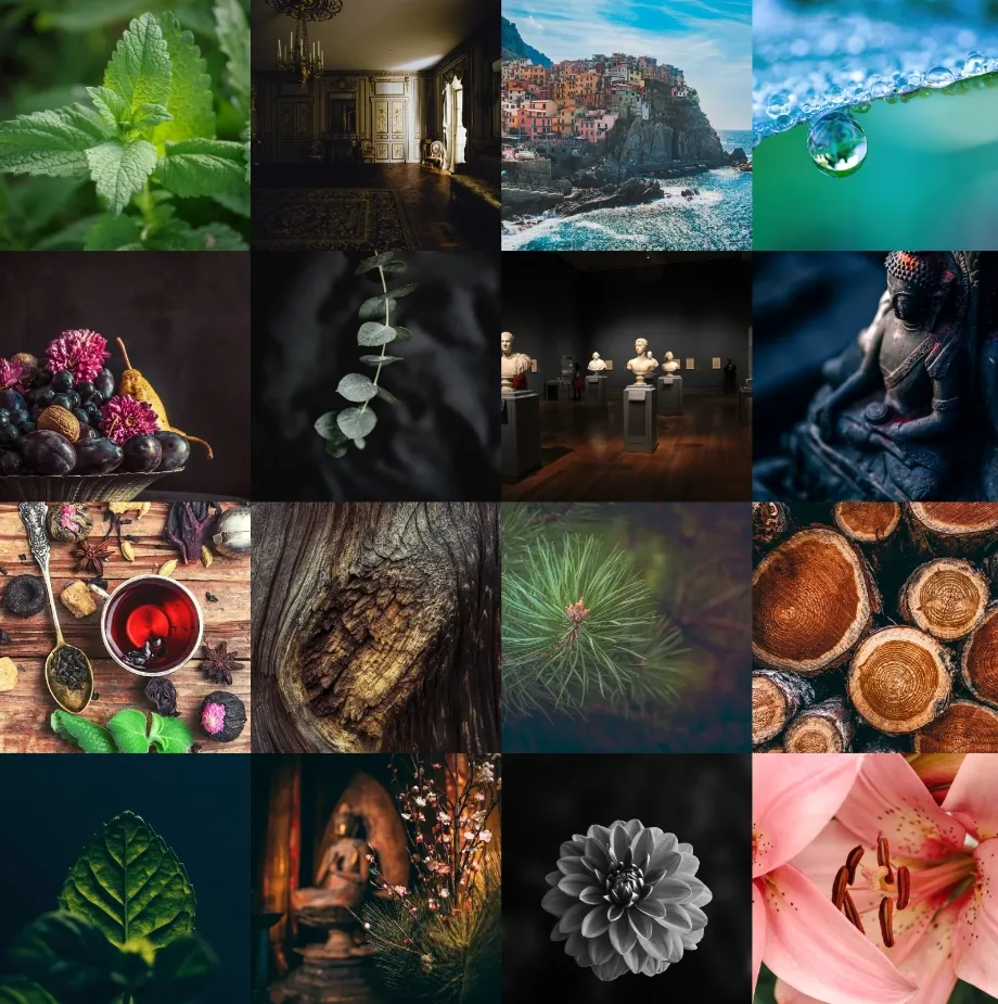 Scent Library